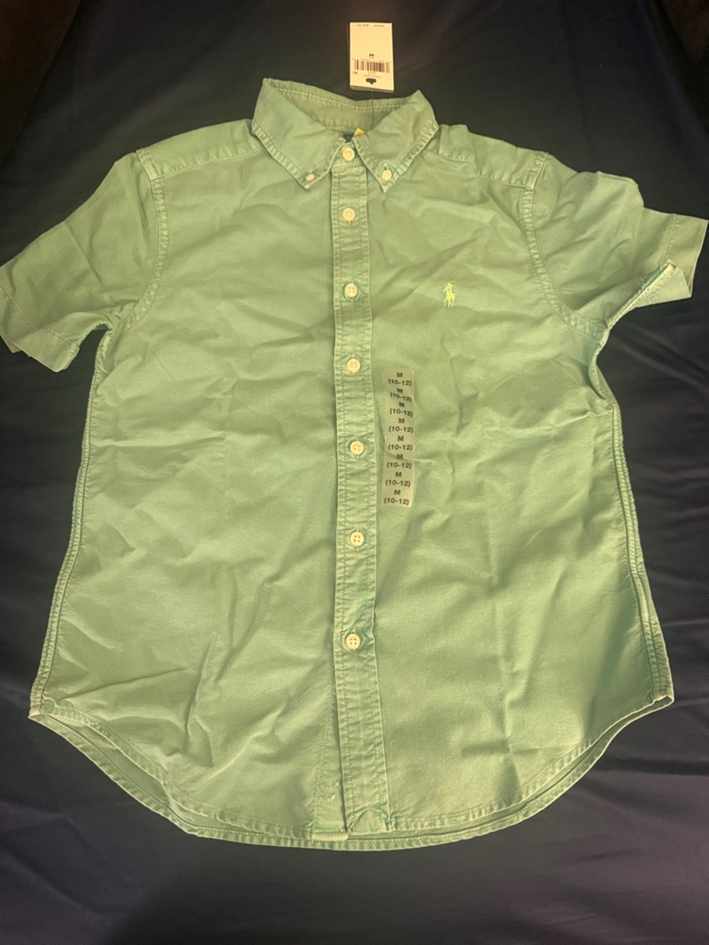 Polo by Ralph Lauren Light Green Short-Sleeve Button-Down Shirt